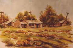 McCarthy Ranch-Milpitas