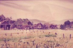 Past-backyard-Gilroy