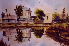 Alviso 1977