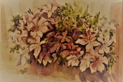 Clamitas