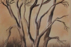 Dry Creek-Scyamores