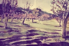 Winter Orchard-New Ave
