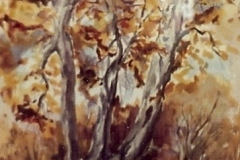 Dry Creek-Fall color