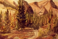 Road to Virgina Lake