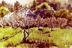 Picchetti Winery