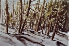 Snow