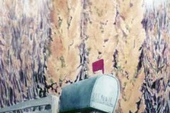 Mail-unnamed